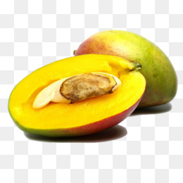 avocado clipart mango seed