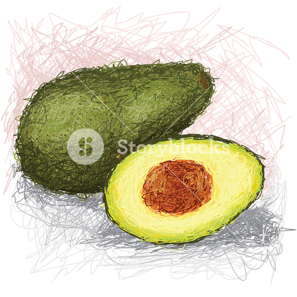 Royalty free stock image. Avocado clipart mustache