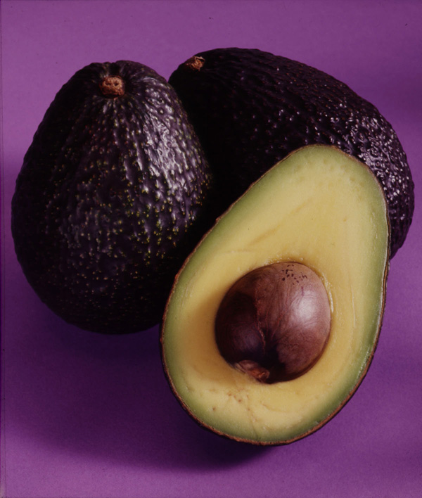avocado clipart purple