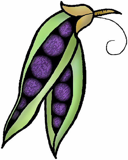 avocado clipart purple
