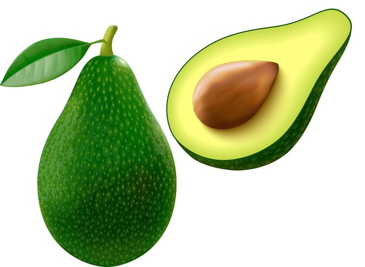 Avocado clipart single vegetable.  best owoce images