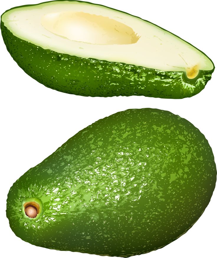  best owoce images. Avocado clipart single vegetable