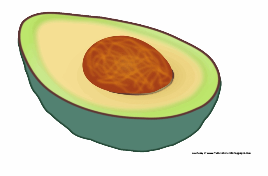 Avocado clipart single vegetable. Clip art library 