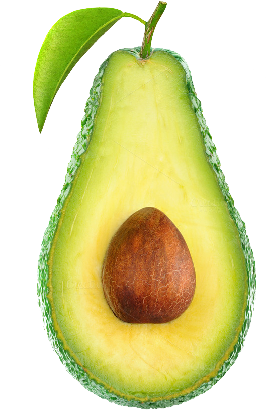 avocado clipart transparent background