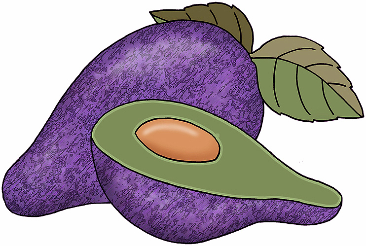 avocado clipart violet