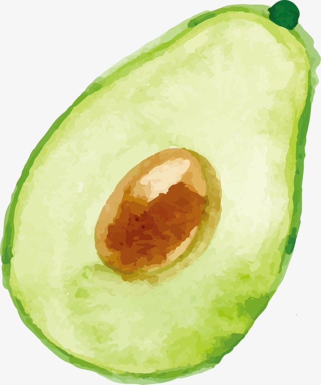 avocado clipart watercolor