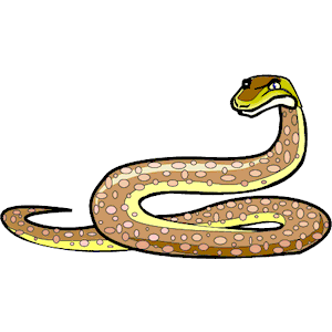 snake clipart illustration