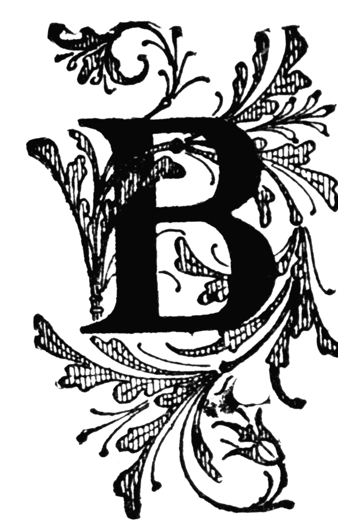 Floral initial etc. B clipart captial