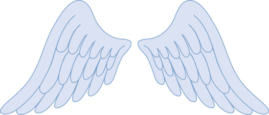 Babies angel wing