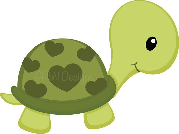 Download Babies clipart turtle, Babies turtle Transparent FREE for ...