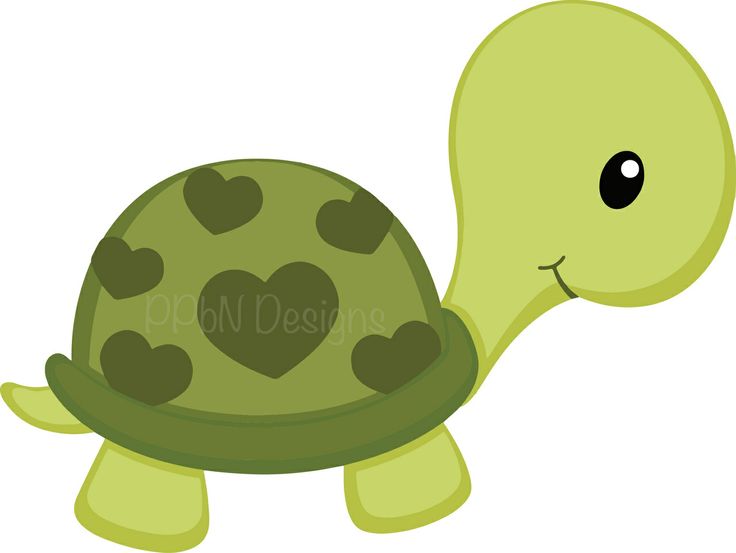 Babies clipart turtle, Babies turtle Transparent FREE for ...