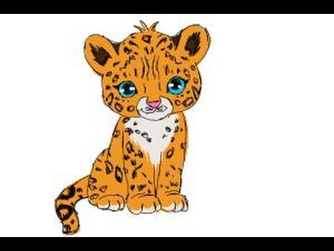 Baby clipart snow leopard. How to draw a