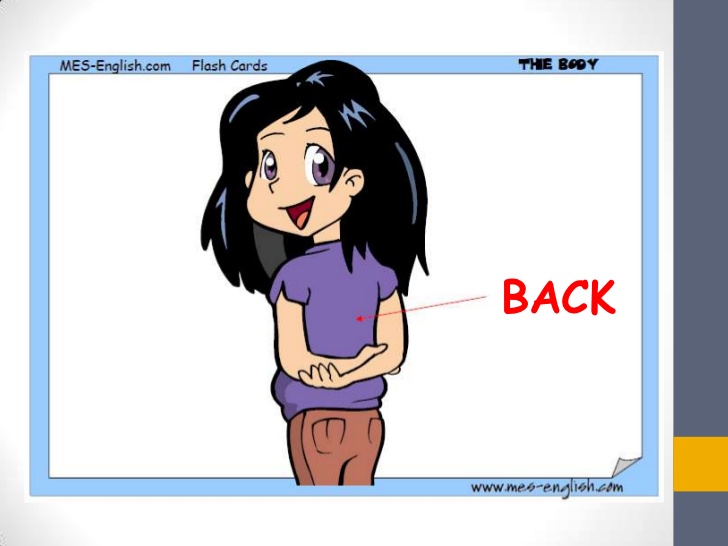 Parts vocabulary introduction lesson. Back clipart body part