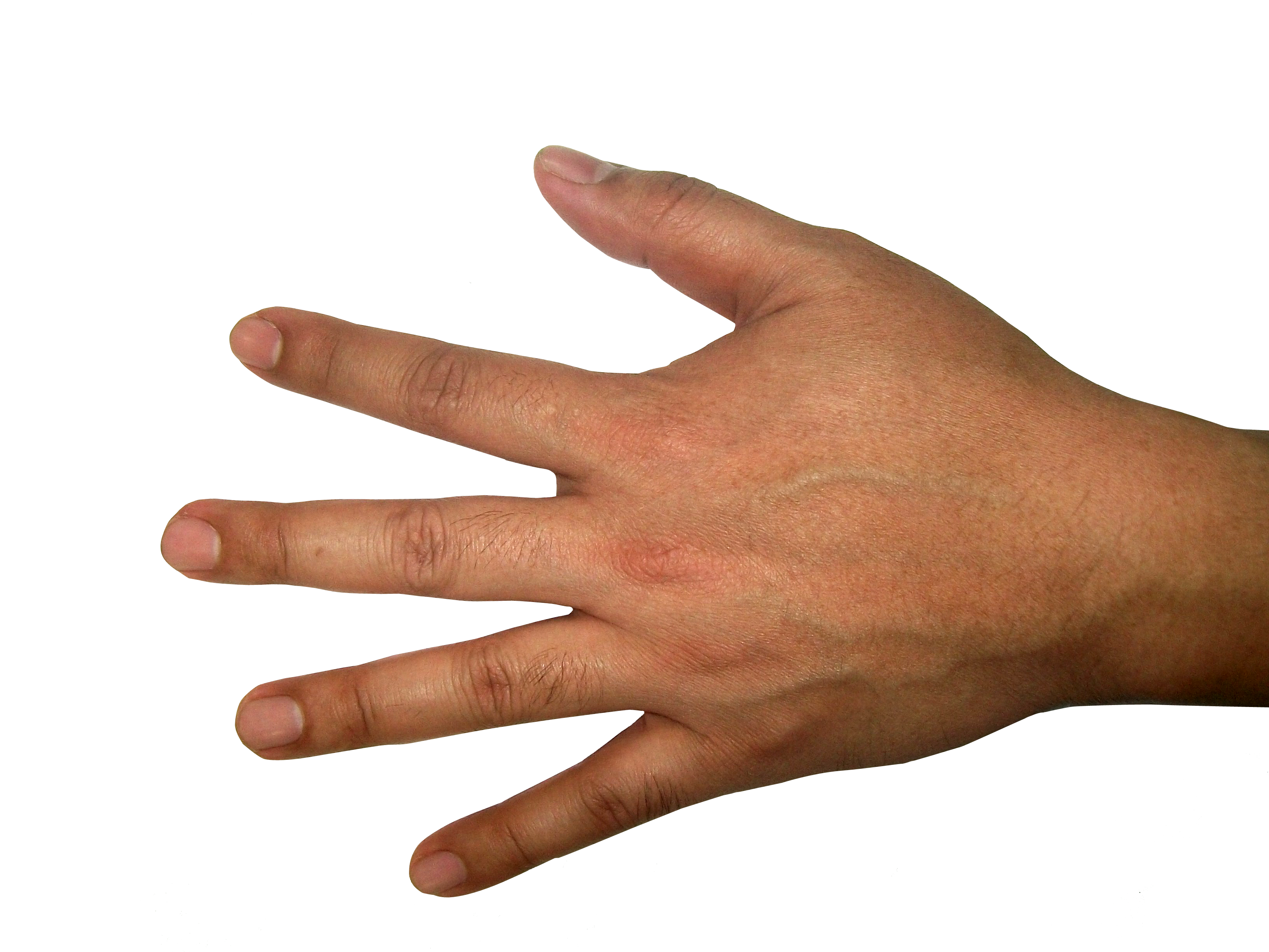 finger clipart large hand