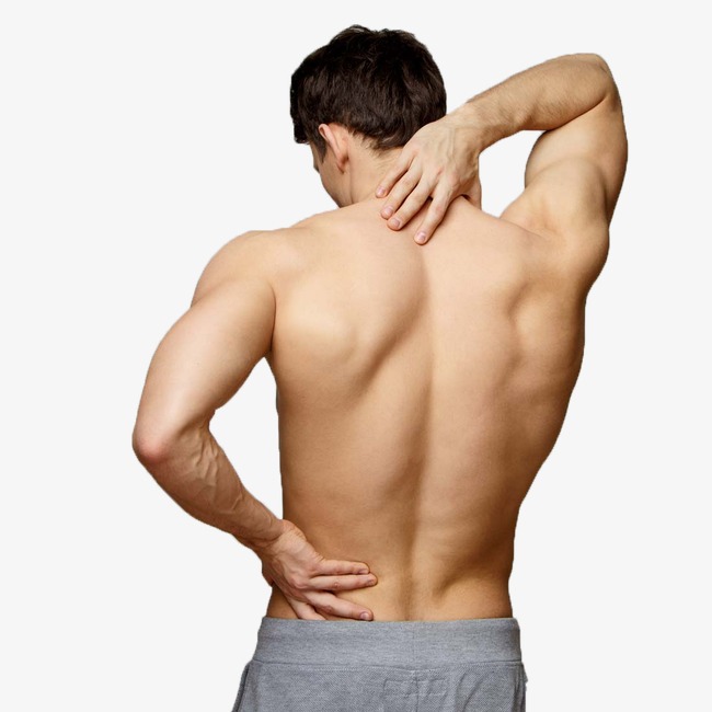 Back clipart muscular. Men s fitness png