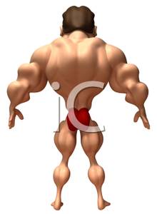 Back clipart muscular. A d cartoon of