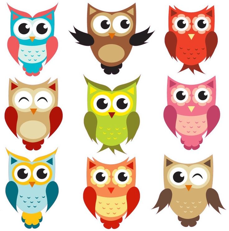 Kid pictures free tag. Back clipart owl