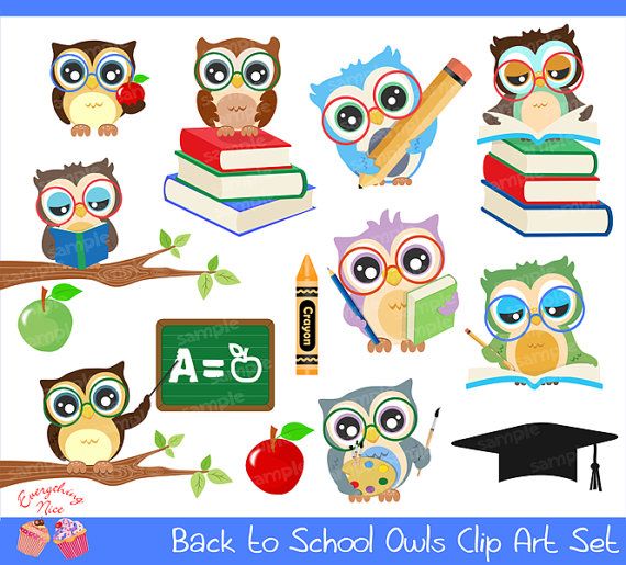 To school owls set. Back clipart owl