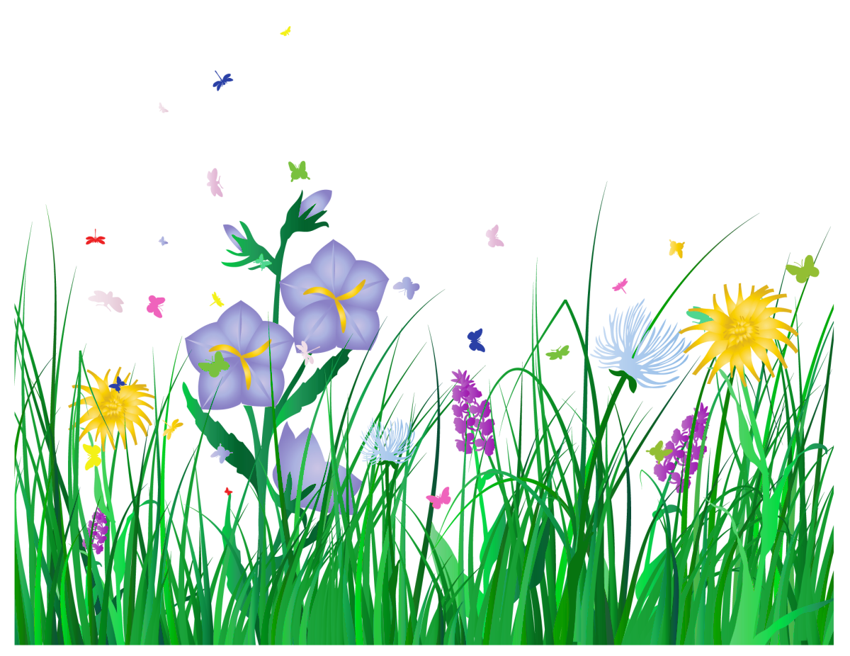 Grass no background clipart. Spring border png