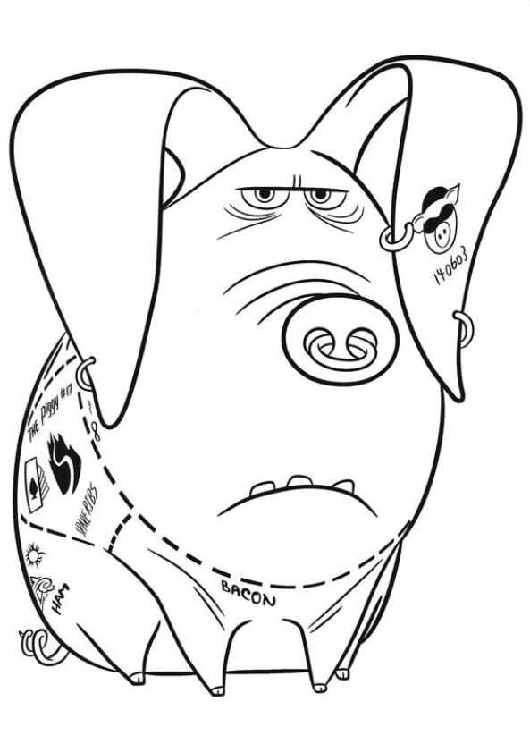 Bacon clipart coloring page.  pages of secret