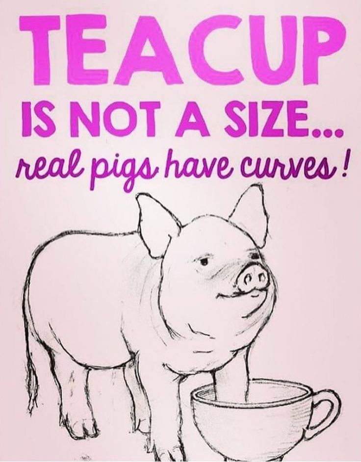  best truth about. Bacon clipart micro pig