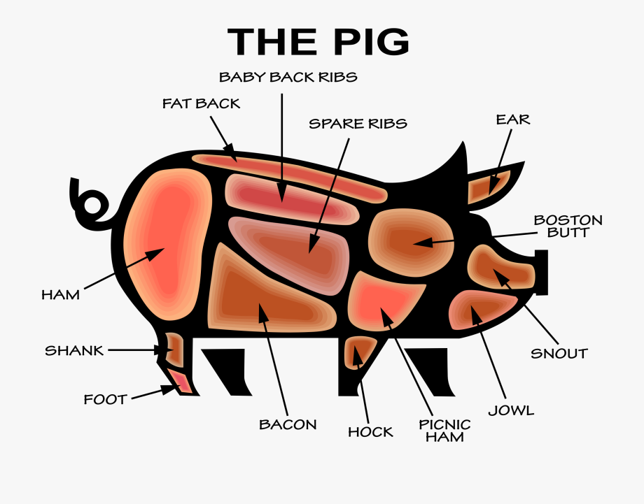 Bacon clipart micro pig. Butcher cartoon free 