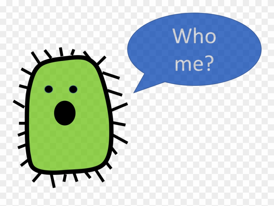 Bacteria clipart. Gut and type ii
