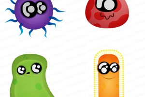 Bacteria clipart accumulation. B download station page