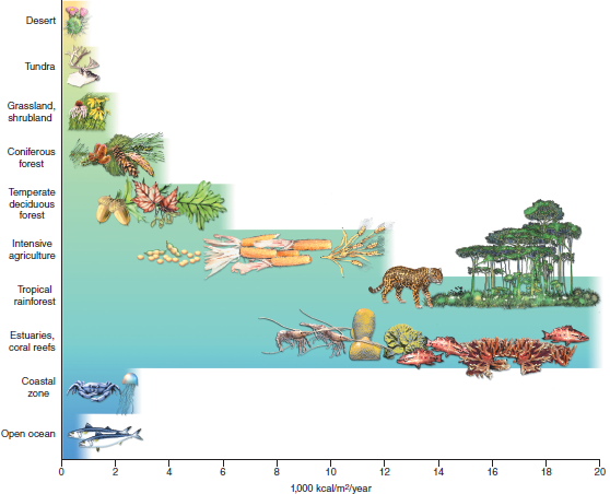 Bacteria clipart accumulation. Which world ecosystems are