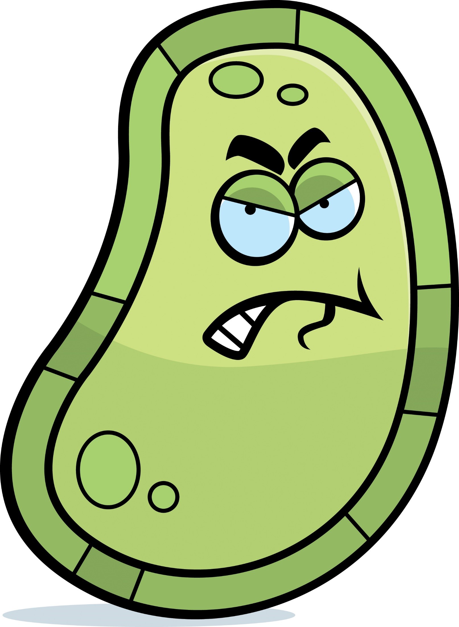 Bacteria clipart angry. You may have bugs