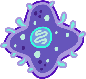 Rick and morty wiki. Bacteria clipart bacteria cell