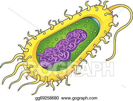 Vector illustration eps gg. Bacteria clipart bacteria cell