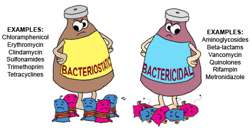 Effect on antimicrobial resistance. Bacteria clipart bacterial culture