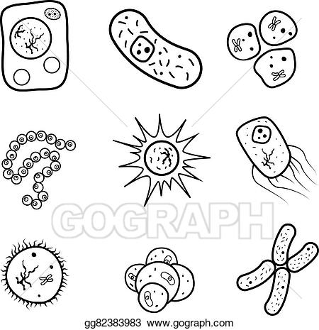 Bacteria clipart biology. Vector art set of