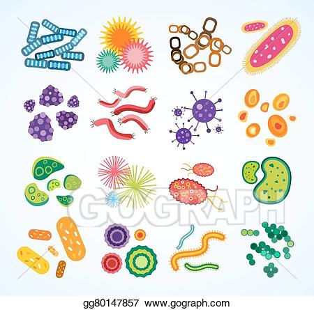 Bacteria clipart biology. Vector illustration virus icons