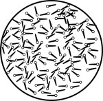 Bacteria clipart black and white. Search results for clip