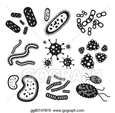 Vector art virus icons. Bacteria clipart black and white