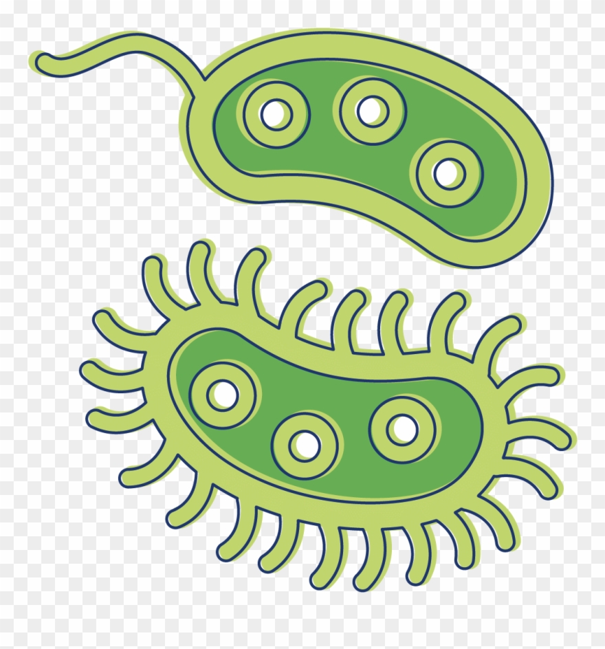 Bacteria clipart clip art. Animated illustration png download