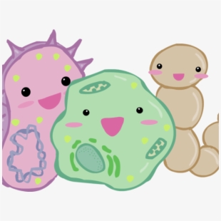 Free cliparts on clipartwiki. Bacteria clipart cute