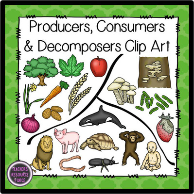 Bacteria clipart decomposer. Producers consumers decomposers clip