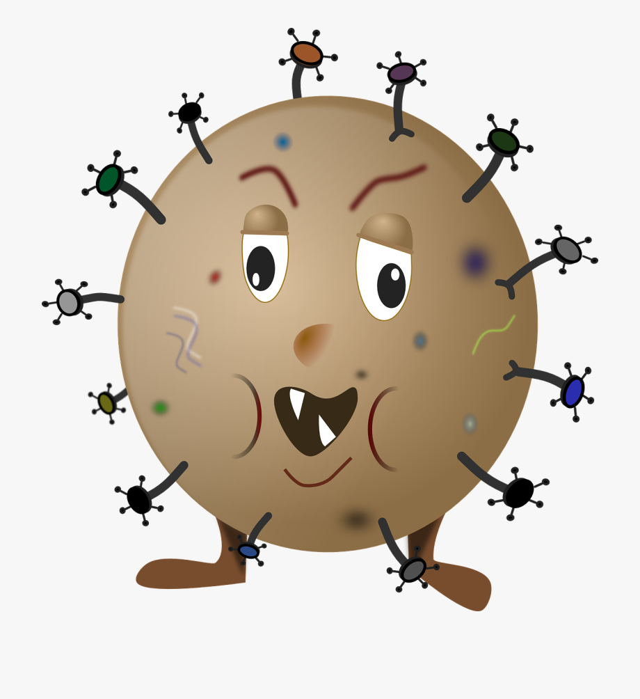 bacteria clipart disease