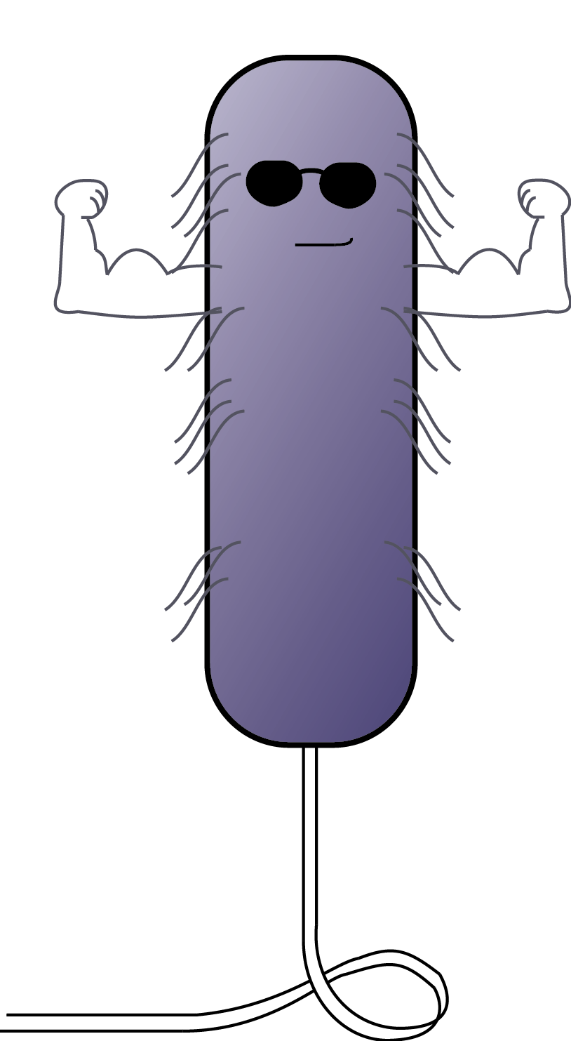 Bacteria clipart e coli. From benign to lethal