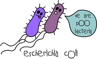 Germs clipart escherichia coli. Dt o a yc