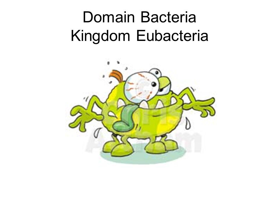 Prokaryote vs eukaryote ppt. Bacteria clipart eubacteria