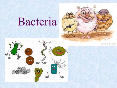 Archaebacteria and ppt video. Bacteria clipart eubacteria