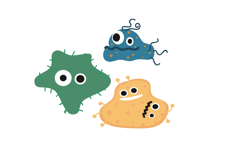 Learn what are the. Bacteria clipart food poisoning