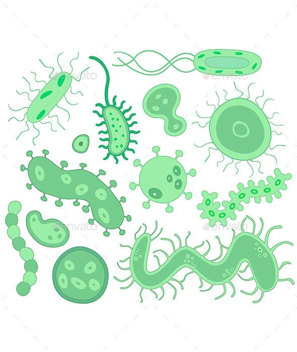  best bacterias images. Bacteria clipart fungus bacteria