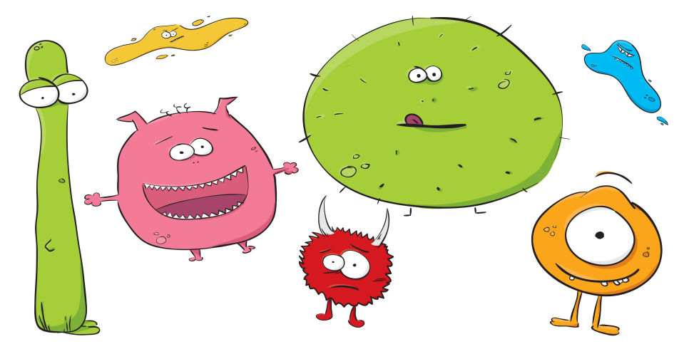 Gut linked to belly. Bacteria clipart happy