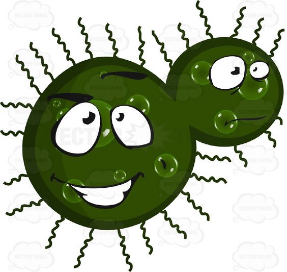 Pencil and in color. Bacteria clipart happy