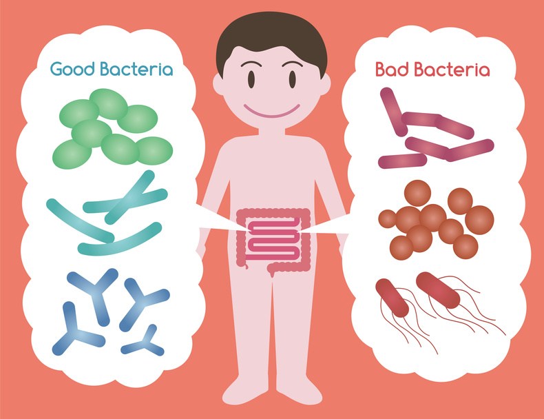 Bacteria clipart harmful bacteria. Good vs bad in